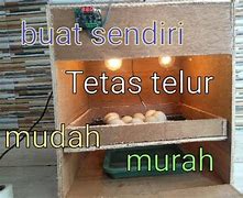 Mesin Tetas Telur Sederhana